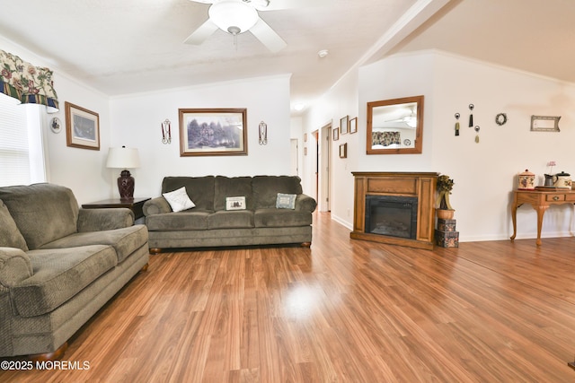 39 Goldenrod Pl, Jackson, NJ 08527 - living room with light wood-type flooring, ceiling fan, a glass covered fireplace, and crown molding