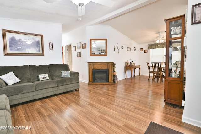 39 Goldenrod Pl, Jackson, NJ 08527 - living area with a ceiling fan, light wood-style floors, a glass covered fireplace, vaulted ceiling, and baseboards