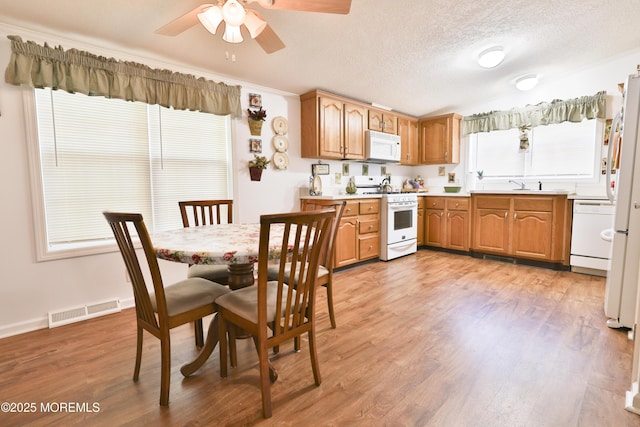 39 Goldenrod Pl, Jackson, NJ 08527 - kitchen with white appliances, ceiling fan, light countertops, light wood finished floors, and a textured ceiling