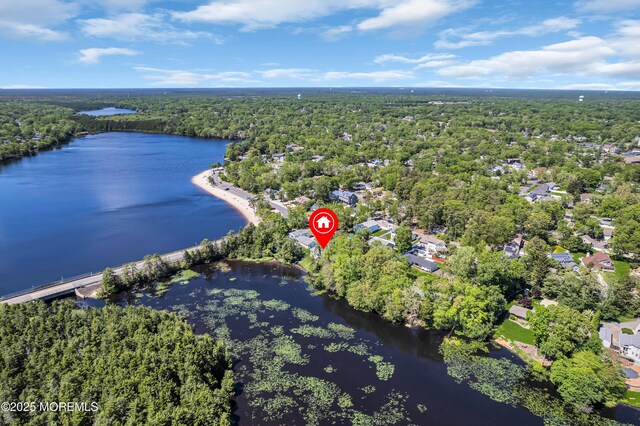 255 Cherokee Trl, Forked River, NJ 08731 - view of property location with a large body of water and a heavily wooded area