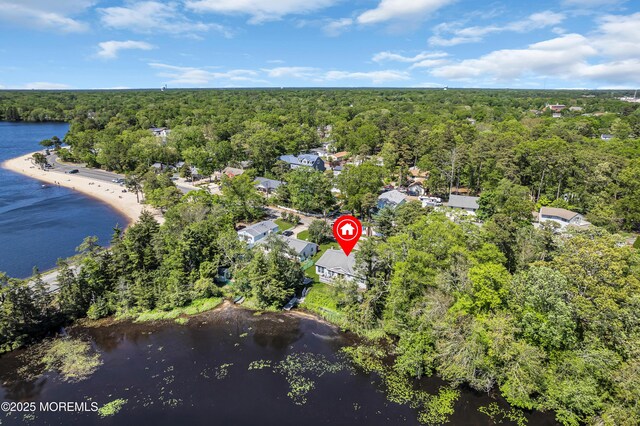 255 Cherokee Trl, Forked River, NJ 08731 - aerial overview of property's location with a heavily wooded area and a nearby body of water