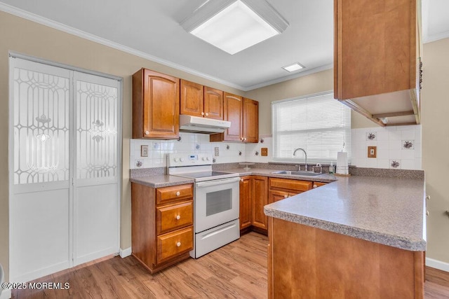 25 Elmswell Ave, Manchester, NJ 08759 - kitchen featuring white electric range oven, a sink, under cabinet range hood, light wood-style floors, and brown cabinets