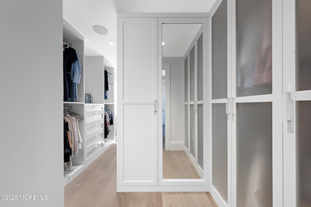 948 Lagoon Ln S, Mantoloking, NJ 08738 - spacious closet featuring light wood-style flooring