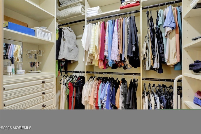 50 Hedgerow Ln, Manalapan, NJ 07726 - view of walk in closet
