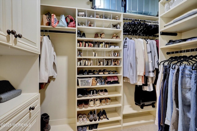 50 Hedgerow Ln, Manalapan, NJ 07726 - view of walk in closet