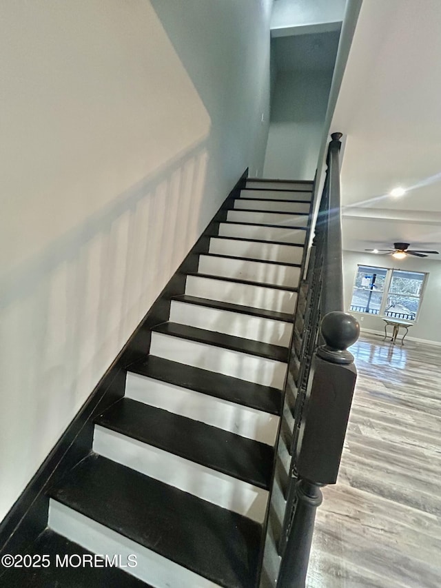 staircase featuring wood finished floors and a ceiling fan