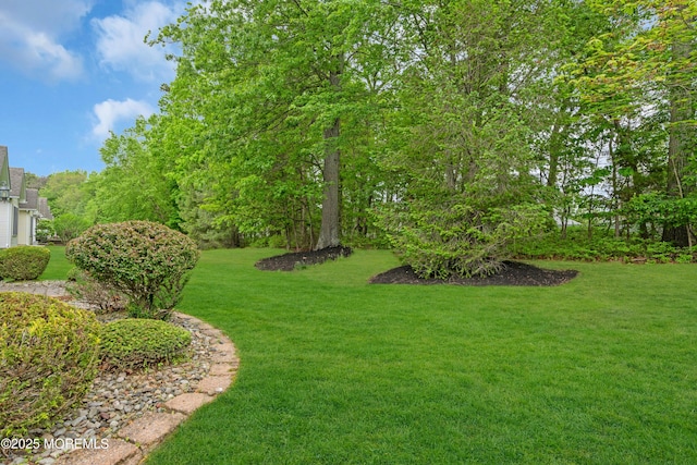 42 Dunberry Dr, Freehold, NJ 07728 - photo 43