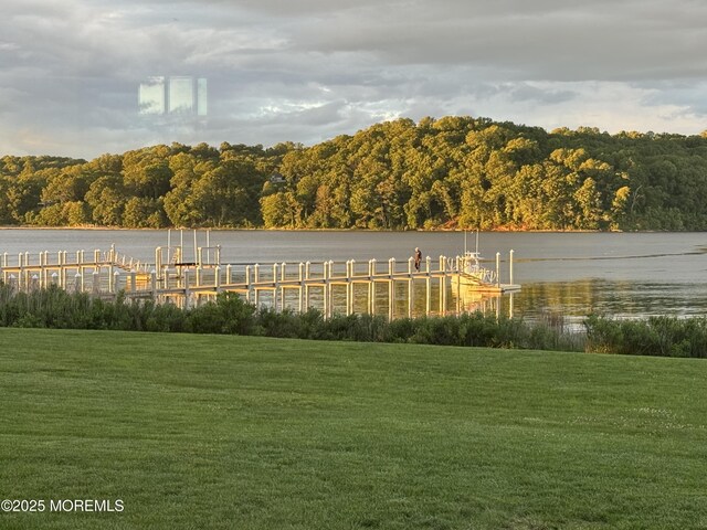 0 Wilson Cir, Rumson, NJ 07760 - view of green lawn featuring a wooded view, a water view, and a dock