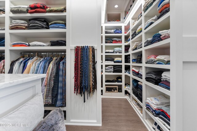 0 Wilson Cir, Rumson, NJ 07760 - walk in closet with wood finished floors
