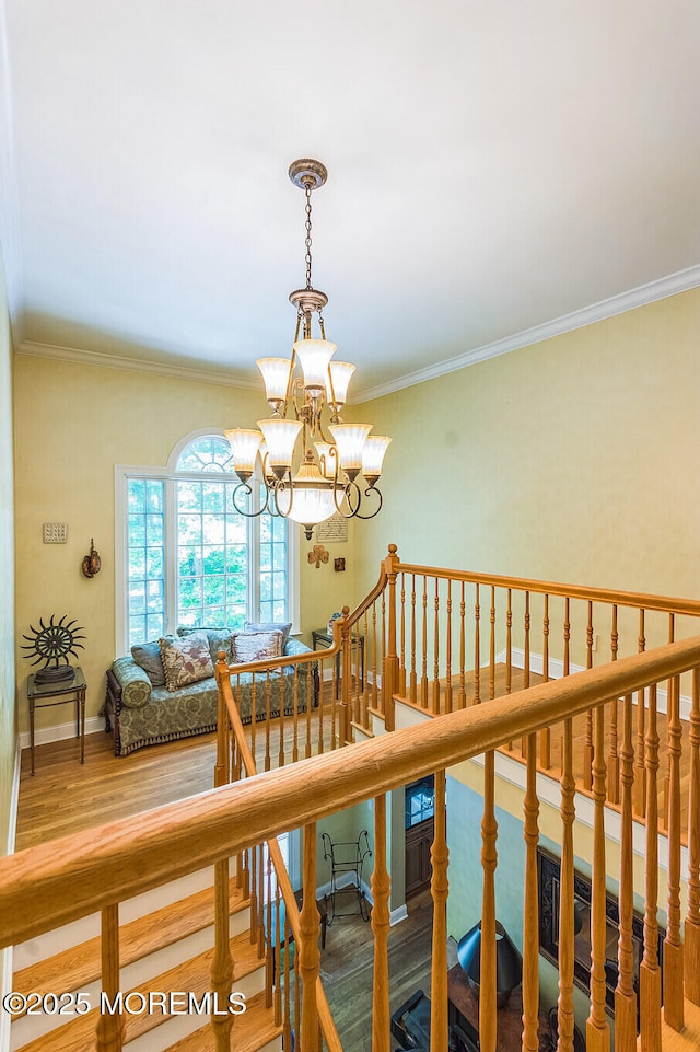458 Cherry Hill Rd, Princeton, NJ 08540 - photo 6