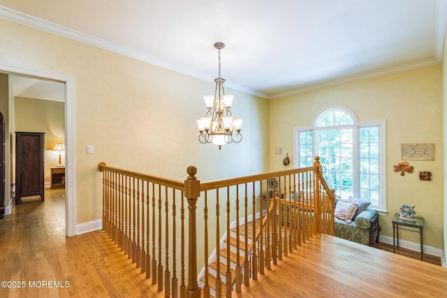 458 Cherry Hill Rd, Princeton, NJ 08540 - photo 7