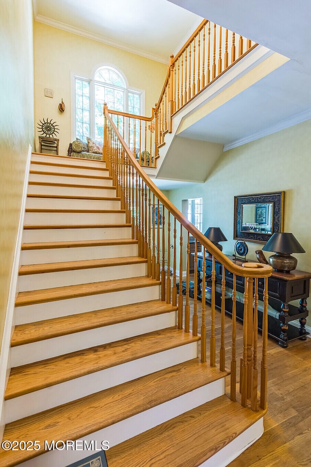 458 Cherry Hill Rd, Princeton, NJ 08540 - photo 8