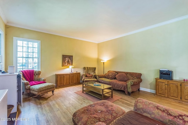458 Cherry Hill Rd, Princeton, NJ 08540 - photo 12