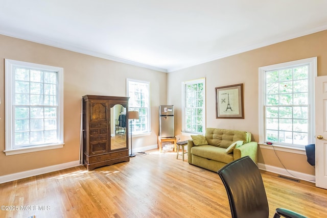 458 Cherry Hill Rd, Princeton, NJ 08540 - photo 16