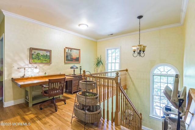 458 Cherry Hill Rd, Princeton, NJ 08540 - photo 18