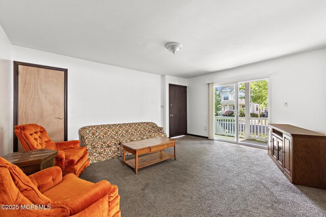 living area with carpet flooring
