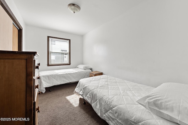 bedroom with carpet flooring