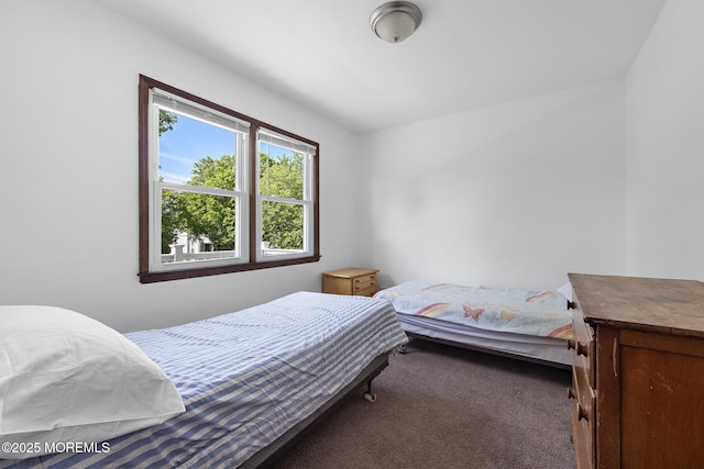 bedroom featuring carpet floors