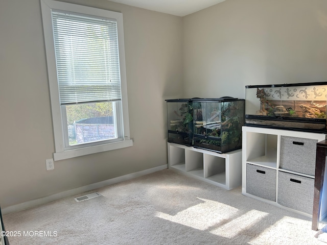 237 Falcon Dr, Little Egg Harbor, NJ 08087 - unfurnished bedroom featuring carpet floors and baseboards