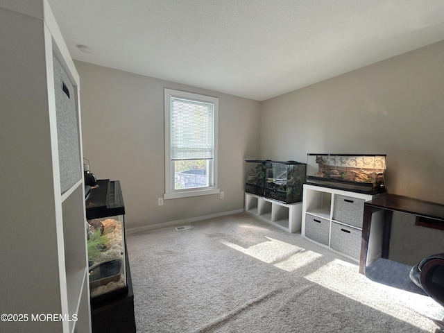 237 Falcon Dr, Little Egg Harbor, NJ 08087 - home office with carpet floors and baseboards