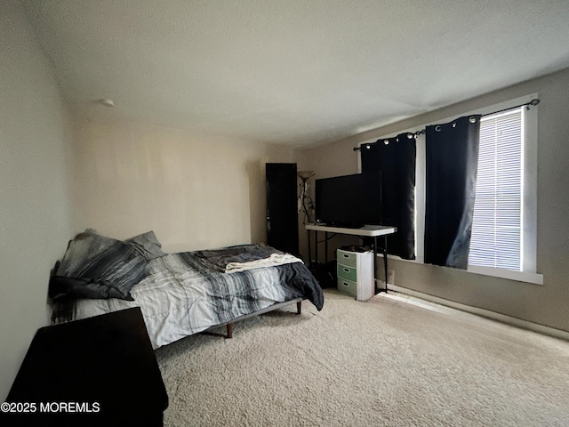 237 Falcon Dr, Little Egg Harbor, NJ 08087 - bedroom with carpet flooring
