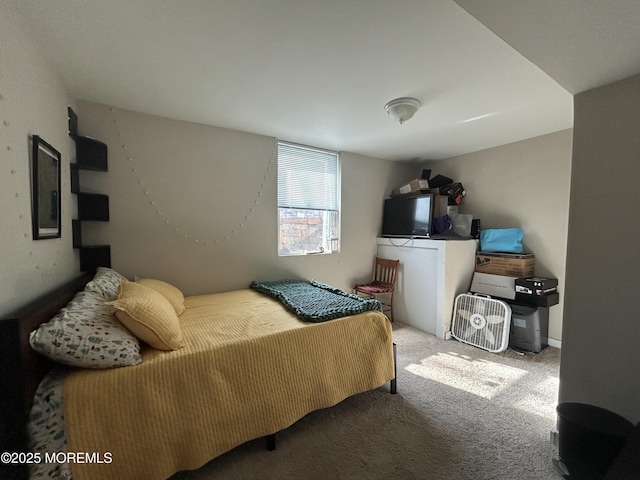 237 Falcon Dr, Little Egg Harbor, NJ 08087 - bedroom with carpet floors