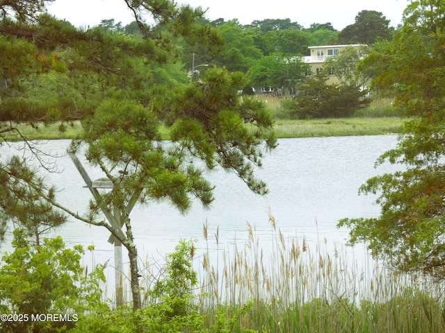 230 Christoffer Ter, Toms River, NJ 08753 - photo 36