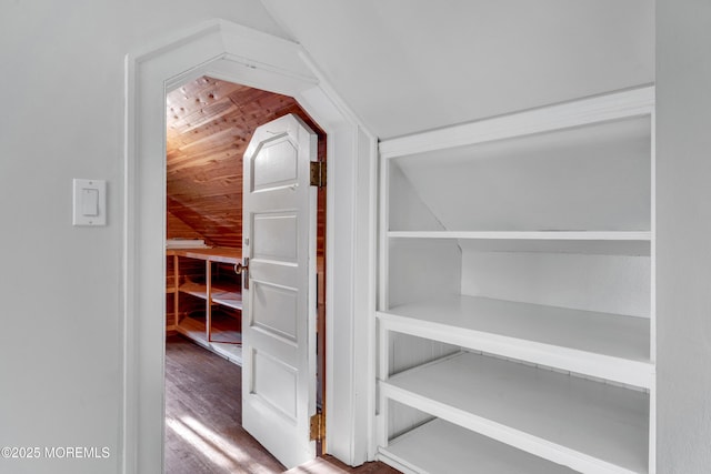 walk in closet featuring wood finished floors