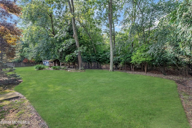 view of yard featuring an outdoor structure