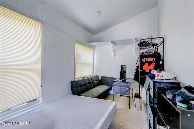78 Navesink Ave, Highlands, NJ 07732 - bedroom featuring lofted ceiling and carpet