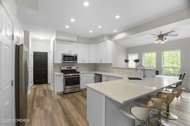29 Jefferson Ct, Jackson, NJ 08527 - kitchen featuring stainless steel appliances, a sink, a peninsula, light wood-style floors, and recessed lighting
