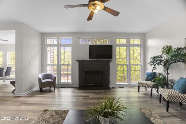 29 Jefferson Ct, Jackson, NJ 08527 - living room with a ceiling fan, healthy amount of natural light, a fireplace with flush hearth, and wood finished floors
