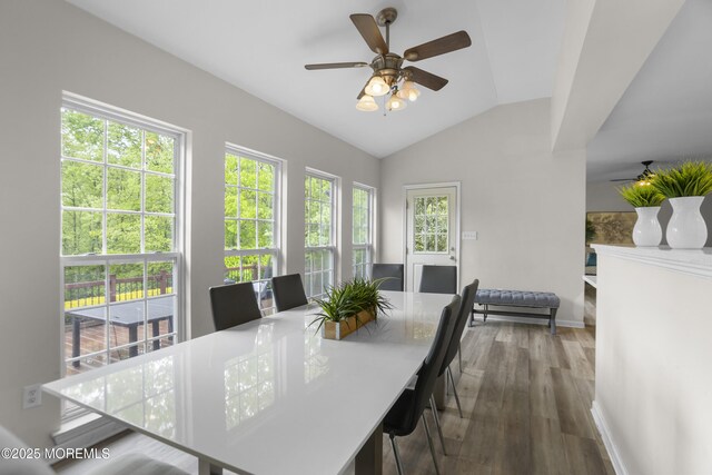 29 Jefferson Ct, Jackson, NJ 08527 - dining area featuring wood finished floors, ceiling fan, lofted ceiling, and baseboards