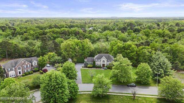 29 Jefferson Ct, Jackson, NJ 08527 - view of subject property with a heavily wooded area