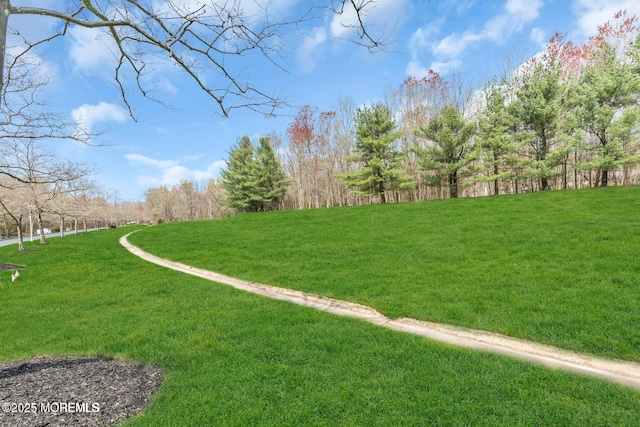 11 Charles Ct, Ocean Twp, NJ 07712 - view of green lawn