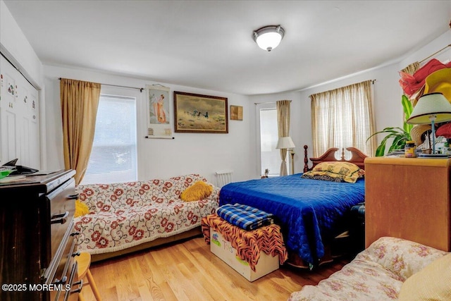 57 Shore Dr, Highlands, NJ 07732 - bedroom featuring multiple windows, wood finished floors, and a closet
