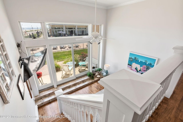 stairway featuring ornamental molding, a high ceiling, wood finished floors, and a ceiling fan