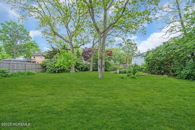 view of yard