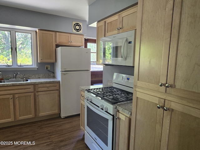 kitchen featuring white appliances, a sink, dark wood-style floors, and light countertops