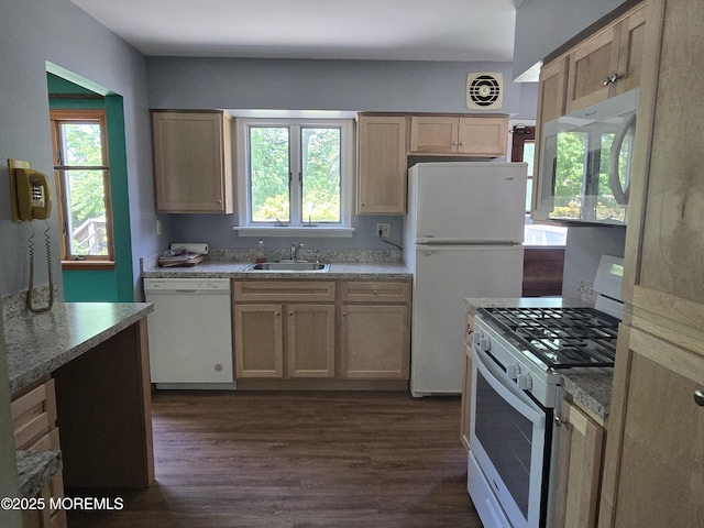 kitchen with white appliances, a sink, dark wood finished floors, and light countertops