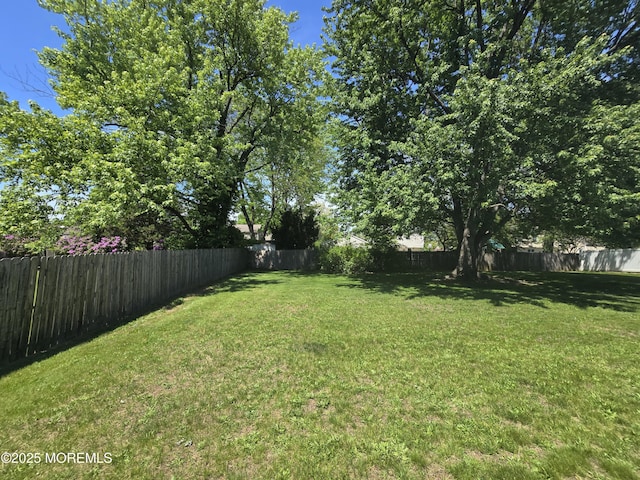 view of yard