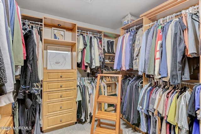 55 Yorktowne Dr, Manalapan, NJ 07726 - view of spacious closet