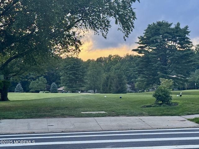 7 Danbury Ct, Red Bank, NJ 07701 - surrounding community featuring a yard