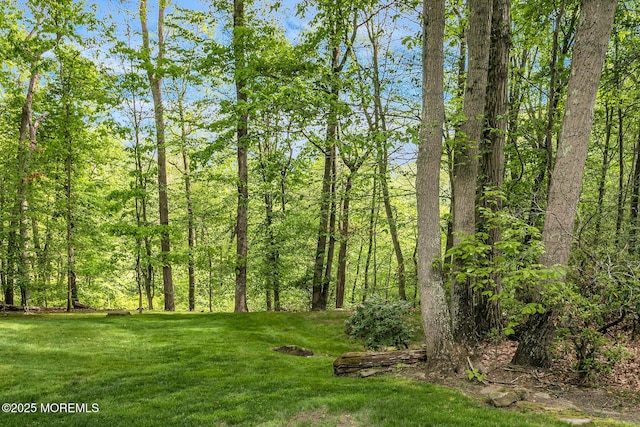 112 Deer Path Ln, Freehold, NJ 07728 - view of grassy yard featuring a view of trees