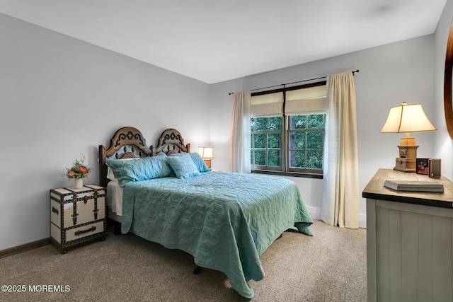 112 Deer Path Ln, Freehold, NJ 07728 - bedroom featuring carpet flooring and baseboards