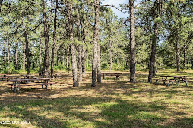 14 Winterton Dr, Toms River, NJ 08757 - view of grassy yard
