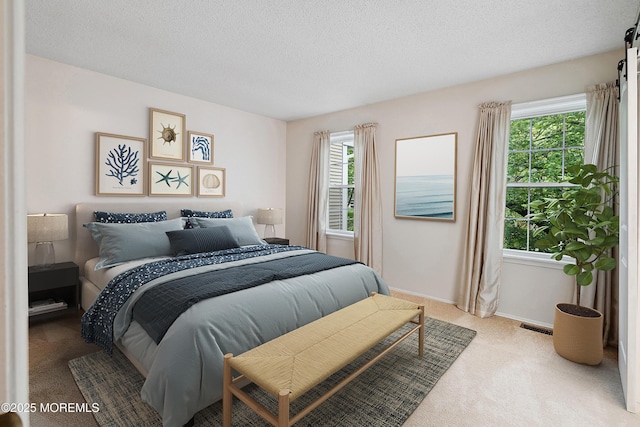 21 Steeple Chase Ct, Tinton Falls, NJ 07724 - carpeted bedroom with multiple windows, a textured ceiling, and baseboards