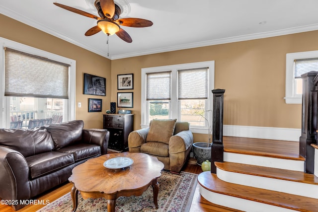 living area featuring wood finished floors, healthy amount of natural light, ceiling fan, and crown molding