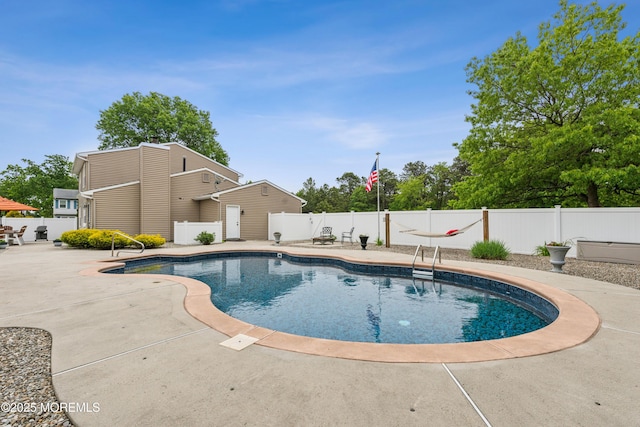 251 Worth St, Brick, NJ 08724 - view of swimming pool featuring a patio and a fenced backyard