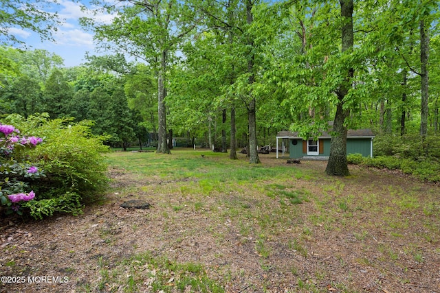 19 Kenyon Dr, Plumsted, NJ 08533 - view of yard with a forest view